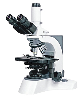 N-800M實驗室生物顯微鏡